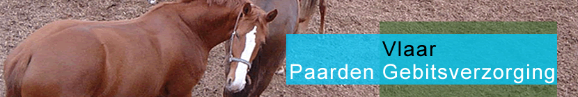 Gebitsverzorging voor paarden, Vlaar